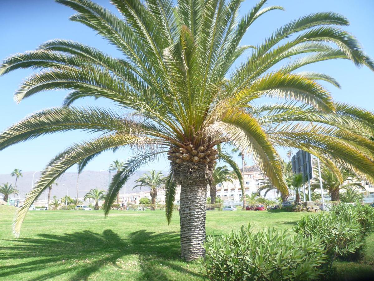 Elana Apartment With Free Wifi طوستا ديل سيلونثيو المظهر الخارجي الصورة